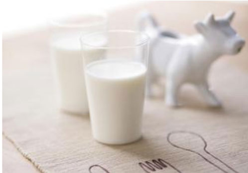 11月国内乳业运行情况分析